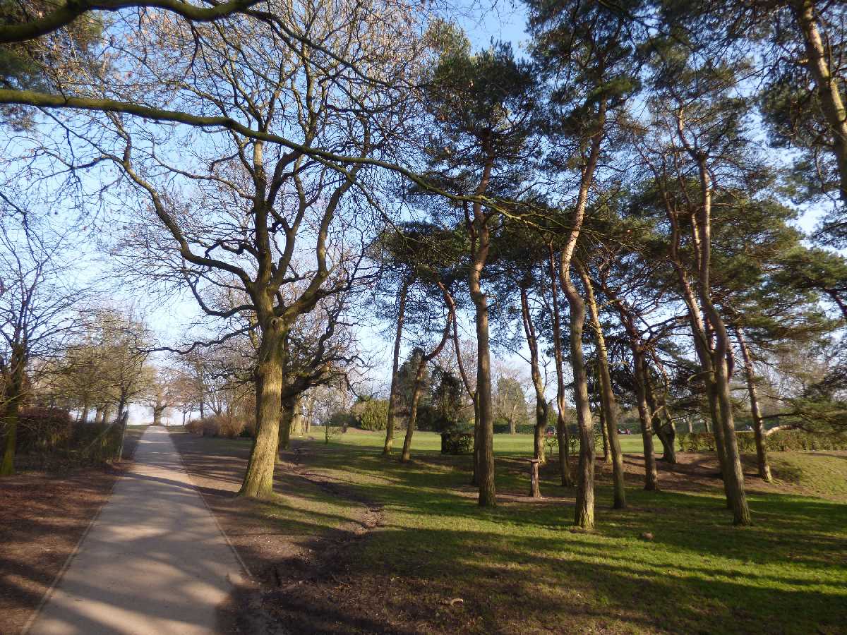 Spring has sprung at Kings Heath Park (March 2021)